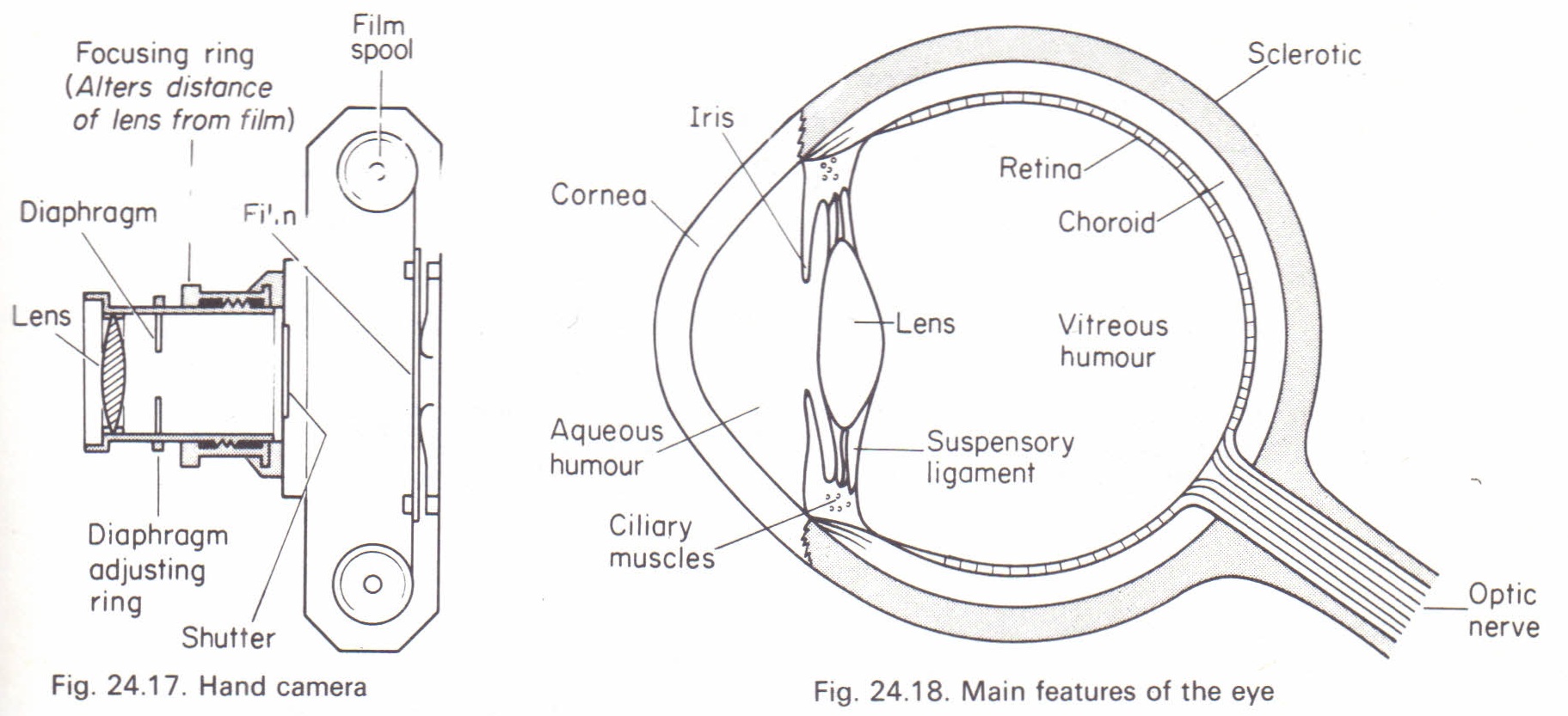 Camera Diagram