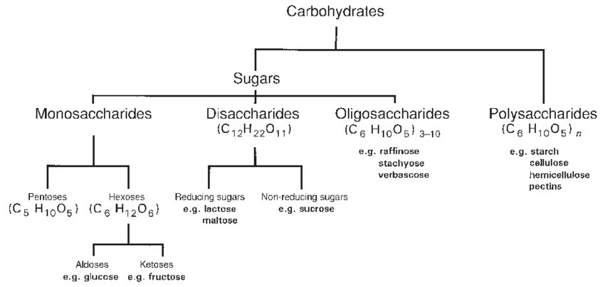 Classification-of-carbohydrates
