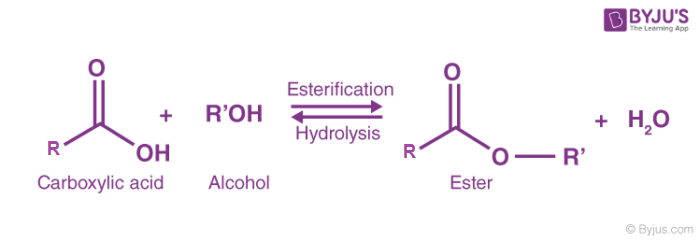 Esterification Diagram