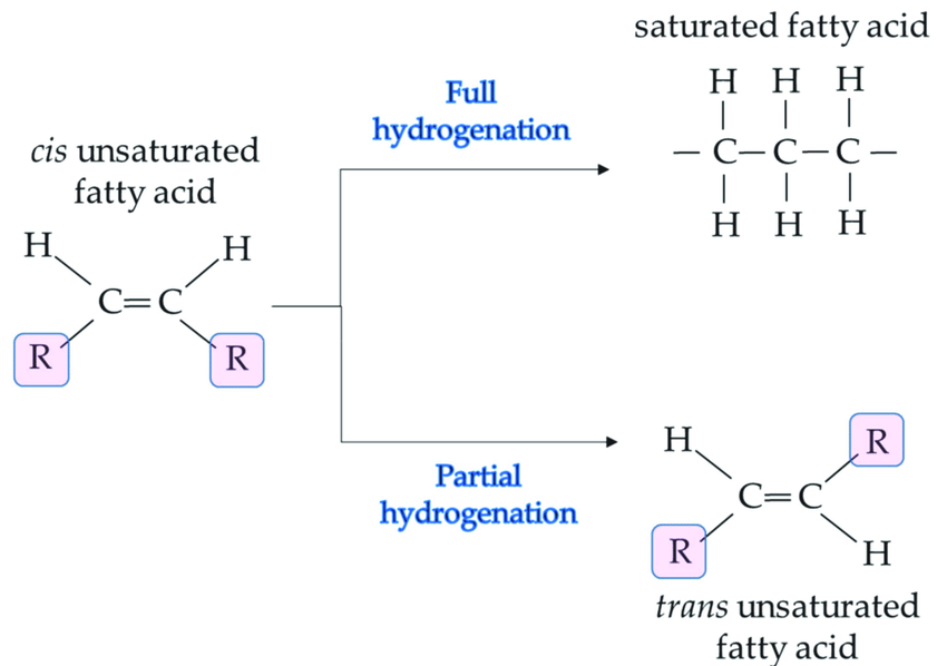 Hydrogenation Diagram
