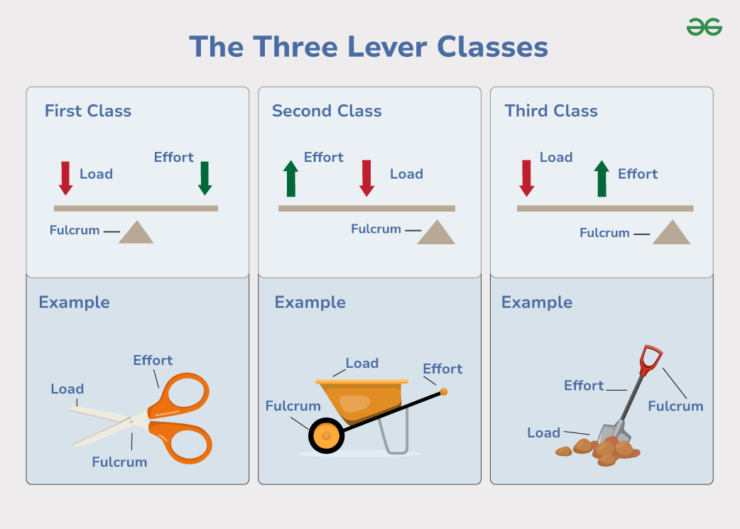 Types of Levers