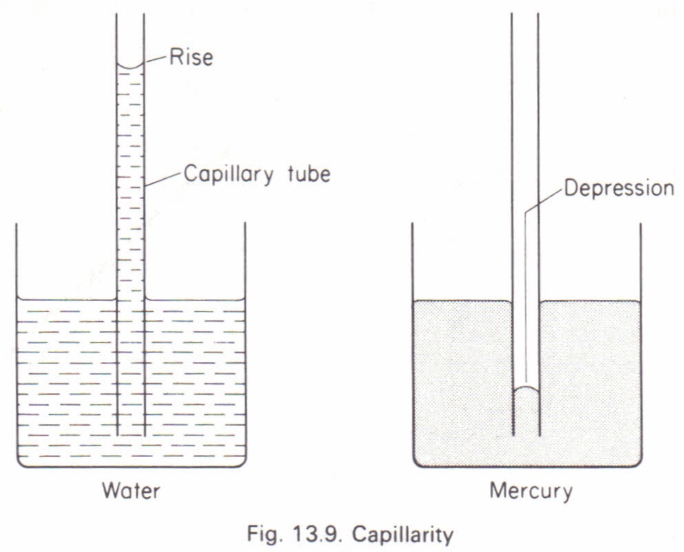 Capillary Action